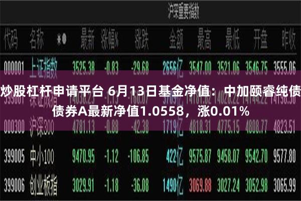 炒股杠杆申请平台 6月13日基金净值：中加颐睿纯债债券A最新净值1.0558，涨0.01%